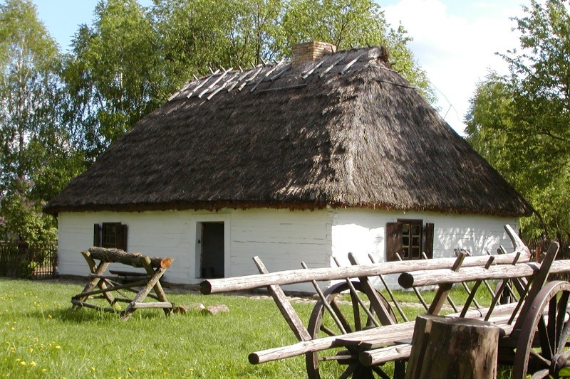 Zdjęcie gastronomii 21