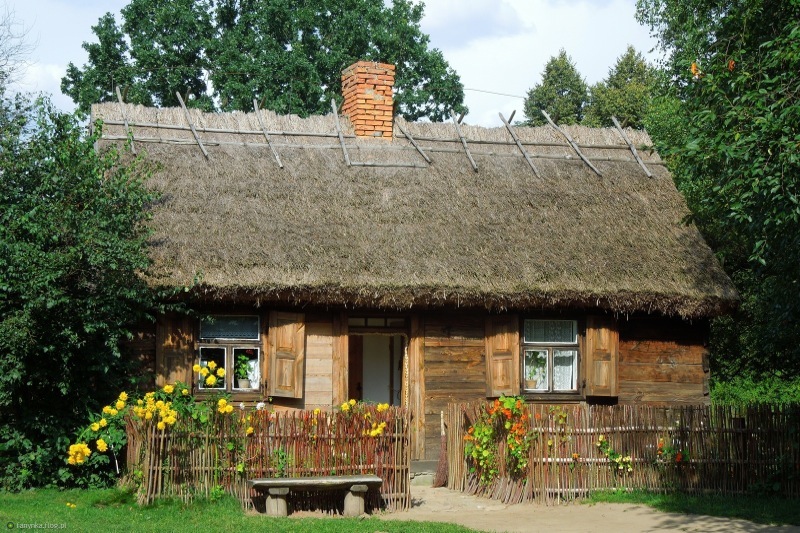 Zdjęcie gastronomii 22